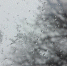Пойдет мокрый снег - MyOmutninsk.Ru