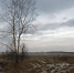 Небольшое похолодание - MyOmutninsk.Ru