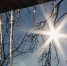 Ветрено, но ясно - MyOmutninsk.Ru