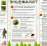 Территориальный отдел Управления Роспотребнадзора по Кировской области в Слободском районе ИНФОРМИРУЕТ. - Омутнинское городское поселение