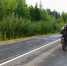 Детские гонки – взрослые проблемы - MyOmutninsk.Ru
