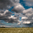 В преддверии осени - MyOmutninsk.Ru