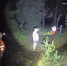 Паника – худший враг в лесу! - MyOmutninsk.Ru