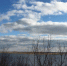 Облачно с прояснениями - MyOmutninsk.Ru