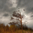 Облачно и ветрено - MyOmutninsk.Ru