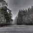 Плюс в декабре - MyOmutninsk.Ru