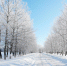 Мороз и солнце - MyOmutninsk.Ru