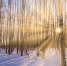 Ночью похолодает до -20 - MyOmutninsk.Ru