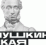 Где можно расплачиваться Пушкинской картой - Детская библиотека Маяк