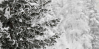 Небольшой снег - MyOmutninsk.Ru