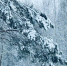 С каждым днем теплее - MyOmutninsk.Ru