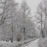 Сильное потепление - MyOmutninsk.Ru