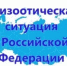 Неблагоприятная эпизоотическая обстановка по инфекционным болезням животных - Омутнинский район