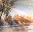 Днем до +16 градусов - MyOmutninsk.Ru