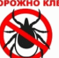 Осторожно! Клещи!. - Омутнинское городское поселение
